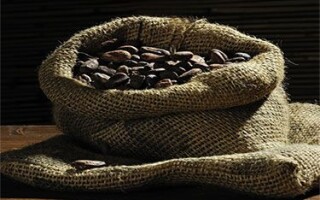 Все о какао