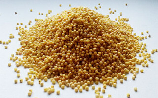 Польза пшенной каши для организма