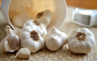 Чем полезен чеснок?