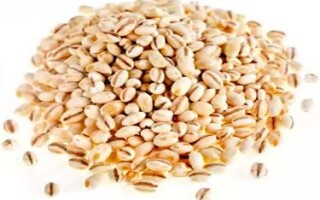 Польза перловки